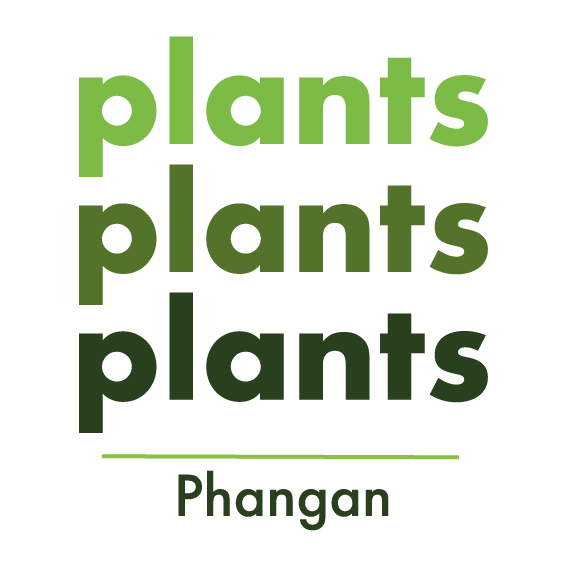 Plants Plants Plants
